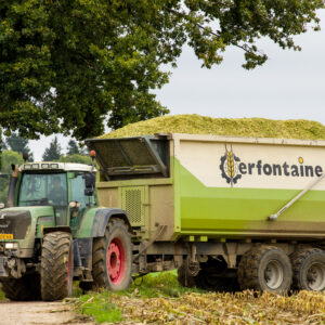 Cerfontaine 4
